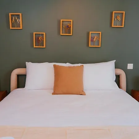 Lejlighed Superbe T2 Confort Avec Parking Prive Amélie-les-Bains-Palalda
